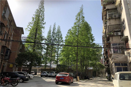 东平[民心·幸福家园]，送储藏室